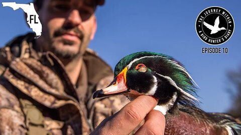 Duck Hunting Florida - Wood Duck, Mottled Duck and Much More | The Journey Within- Waterfowl Slam