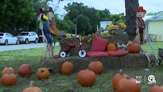 South Florida pumpkin patch benefits homeless pregnant women