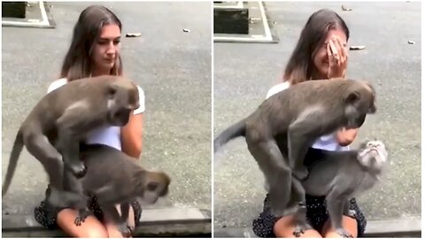 Horny monkey reminds cute girl of her boyfriend