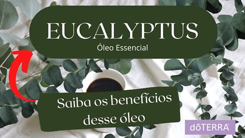 EUCALYPTUS ÓLEO ESSENCIAL dōTERRA® - ESSENTIAL OIL EUCALYPTUS