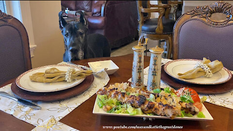 Polite Great Dane Has Lovely Table Manners