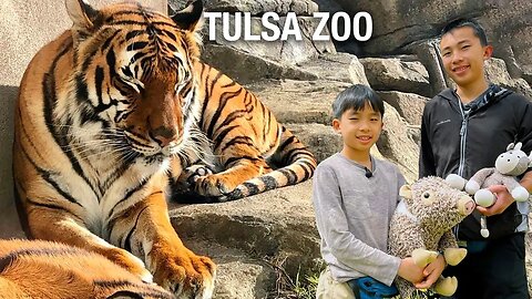 Tulsa Zoo (Things to do in Tulsa, Oklahoma)