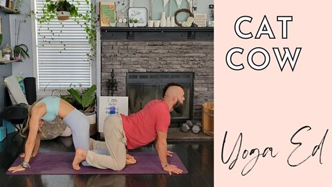 How to do Yoga Cat Cow Pose? | Sandhara Marjaryasana AKA Cat Cow Pose