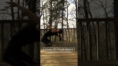 STAND TO STAND BRIDGE: Tutorial