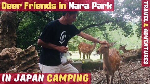 🦌 I Made Some Deer Friends in Nara Park - CUTE & FRIENDLY! 🗾