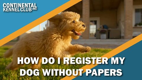 How Can I Register a Dog Without Papers?