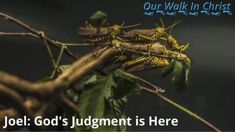 Joel: God's Judgment is Coming