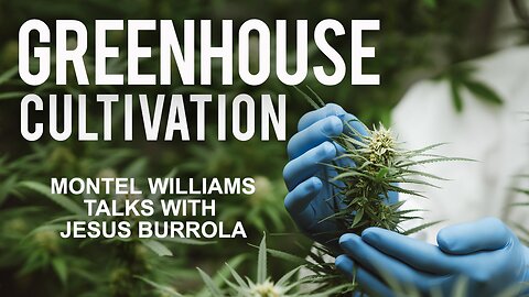 BENEFITS OF GREENHOUSE CULTIVATION | JESUS BURROLA