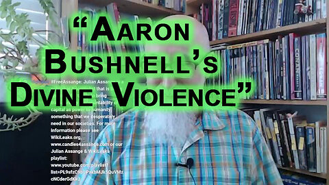 "Aaron Bushnell’s Divine Violence”: Israel’s Genocide in Gaza Supported by United States of America