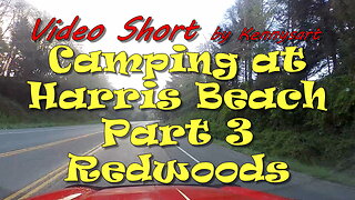 Camping Oregon Coast, Harris Beach part 3, California Redwoods