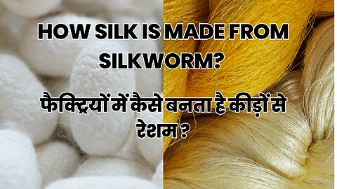 How Silk is made from Silkworm? फैक्ट्रियों में कैसे बनता है कीड़ों से रेशम #socialkaro