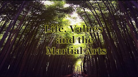 Life, Values, and the Martial Arts (part 2)