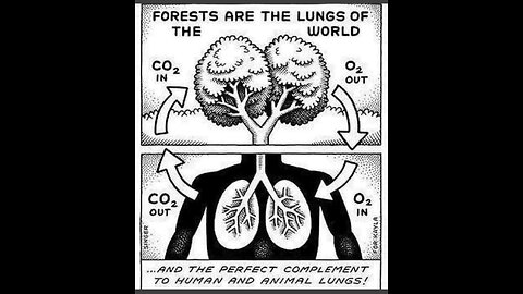 PCR inventor, Scientist & Nobel Laureate Dr. Kary Mullis exposes “climate change fraud”