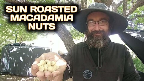 Sun Roasted Macadamia Nuts