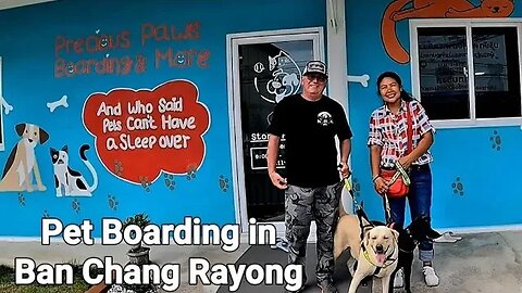 DOG AND CAT BOARDING HOTEL IN BAN CHANG RAYONG THAILAND #preciouspaws