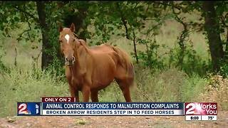 Animal control responds to malnutrition complaints