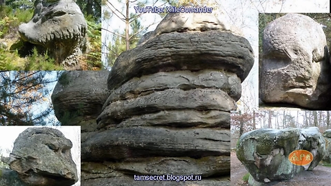 Fossils of giant creatures in France RUS Окаменевшие древние гиганты Франция