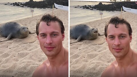 POV: You found a new friend in Hawaii
