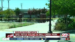 BPD found a fetus at Mill Creek Park