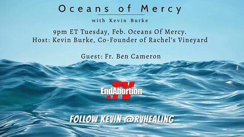 Oceans Of Mercy. Host: Kevin Burke, Co-Founder of Rachel’s Vineyard Guest: Fr. Ben Cameron