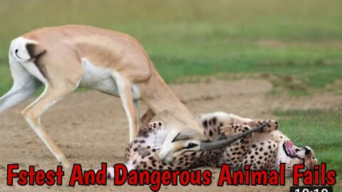 World Fastest And Dangerous Animals Fail in The world || Dangerous Wild Life Hunting Fails 2021 ||