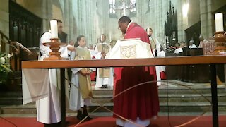 SOUTH AFRICA - Cape Town - Blessing of the Animals service at St George's Cathedral (Video) (yS9)