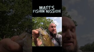 Smallmouth bass and rock bass in Ohio