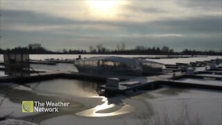 Marina starting to freeze as deep cold settle over Toronto