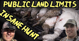 Duck Hunting - CA PUBLIC LAND LIMITS!