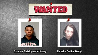 FOX Finders Wanted Fugitives - 3-13-20