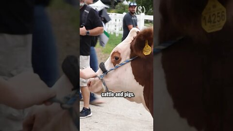 This Iowa teenager doesn’t want to pay another cent more on gas for his family’s farm #IowaStateFair