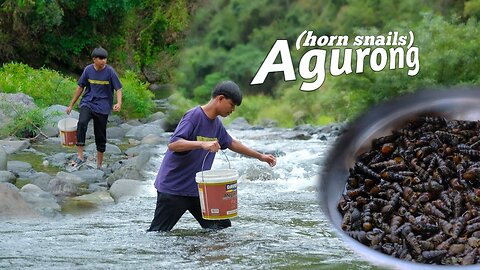 [Story 145]Picking horn snails(agurong/suso) in the river and cooking dinner for the family!