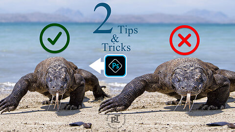 Two Useful Tips and Tricks for Photoshop