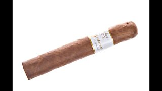 Azan White Premium Line Robusto Cigar Review