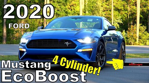2020 Ford Mustang EcoBoost High Performance - Ultimate In-Depth Look in 4K