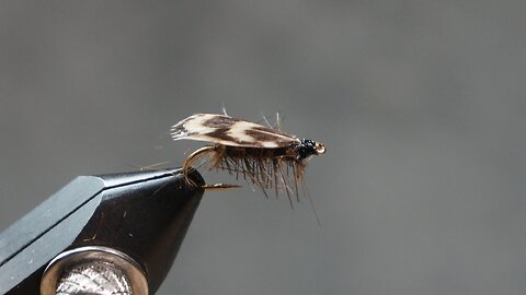 Jassid (a Vince Marinaro flatwing dry fly)