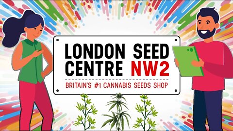 London Seed Centre: The UK's #1 Cannabis Seed Supplier!