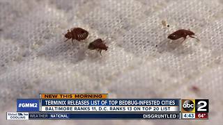 Baltimore ranked 11 in most bedbug infested cities