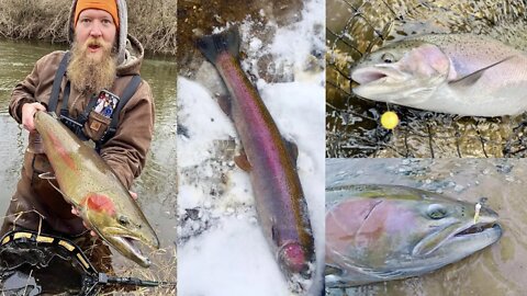 Where When & How To Catch Steelhead In The River / Great Lakes Steelhead Life Cycle & Habits