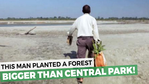 Man Plants A Forest Bigger Than Central Park