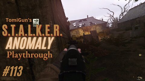 S.T.A.L.K.E.R. Anomaly #113: Back to the Swamp. Are You Entertained Yet?
