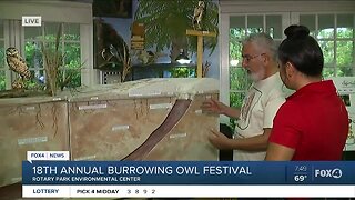 New exhibit comes to 18th annual Burrowing Owl Festival