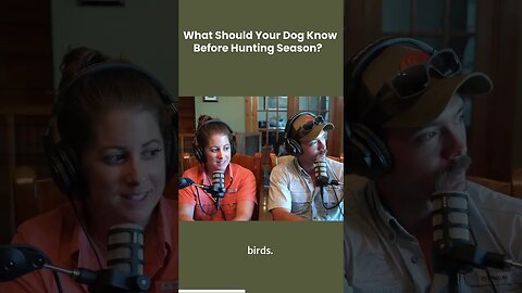 What Should Your Dog Know Before Hunting Season?