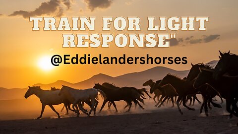 Train for light response