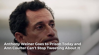 Anthony Weiner Goes to Prison Today and Ann Coulter Can’t Stop Tweeting About It