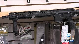 Boynton Beach passes gun resolution to pressure lawmakers