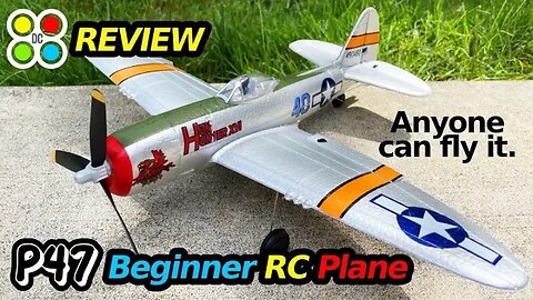 $99 Beginner RC Airplane - Volantex RC P47 ThunderBolt Warbird - REVIEW & FLIGHTS
