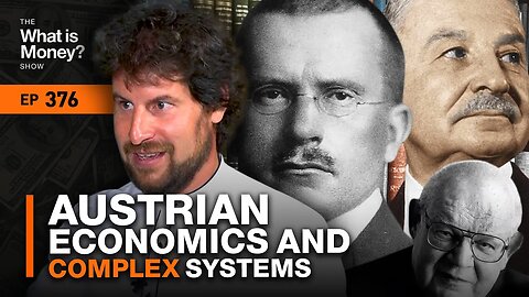 Austrian Economics and Complex Systems with Rahim Taghizadegan (WiM376)