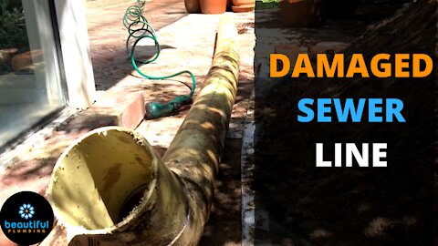 Damaged Sewer Line? You Need to See What Happened