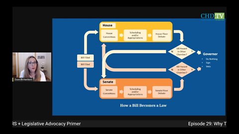 How a Bill Becomes a Law, ‘Your Voice Has Power’ – Dawn Richardson